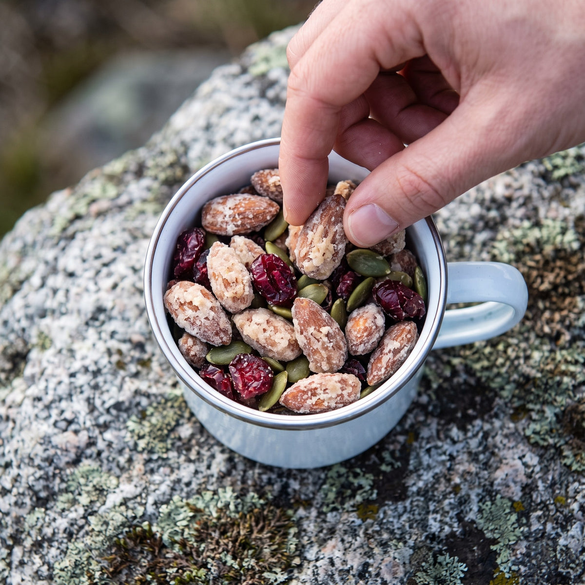 Main pigeant une amande au sucre d'érable dans une tasse de randonnée déposée sur un rocher couvert de lichen