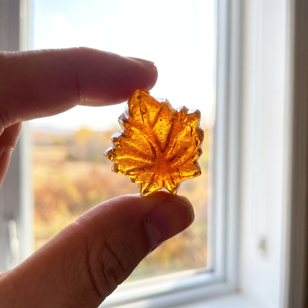 Doigts tenant un bonbon dur au sirop d'érable translucide en forme de feuille devant une fenêtre lumineuse