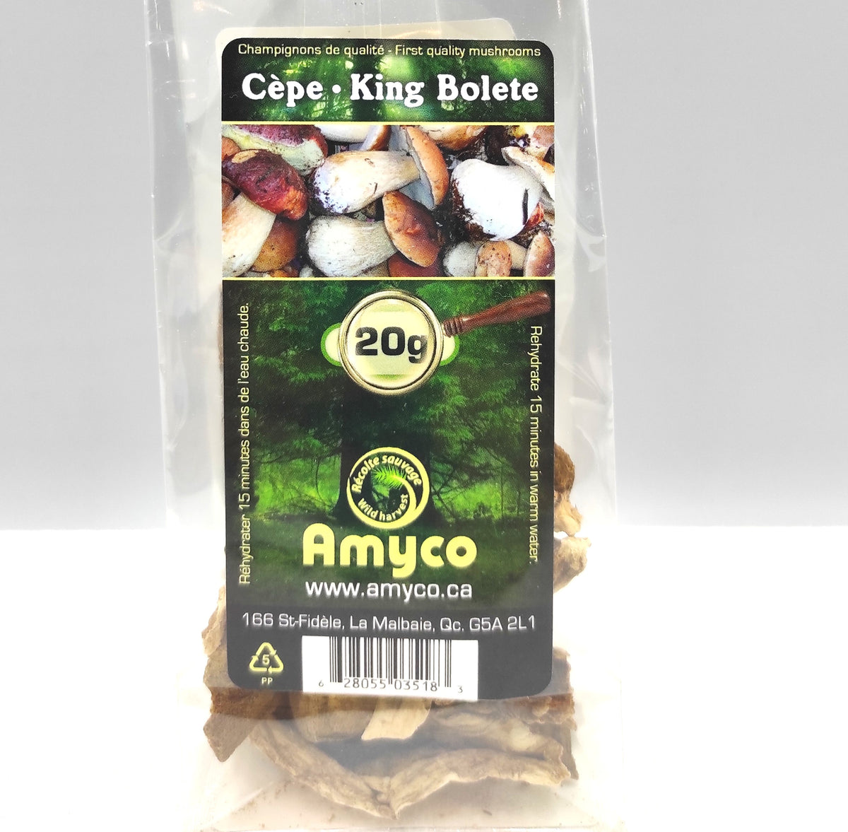Champigngons  Cèpe