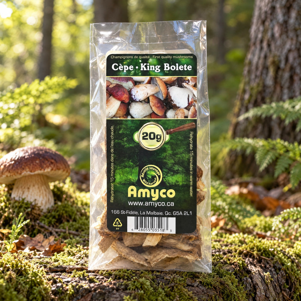Sachet de cèpes séchés Amyco sur une bûche moussue en forêt près d'un champignon sauvage