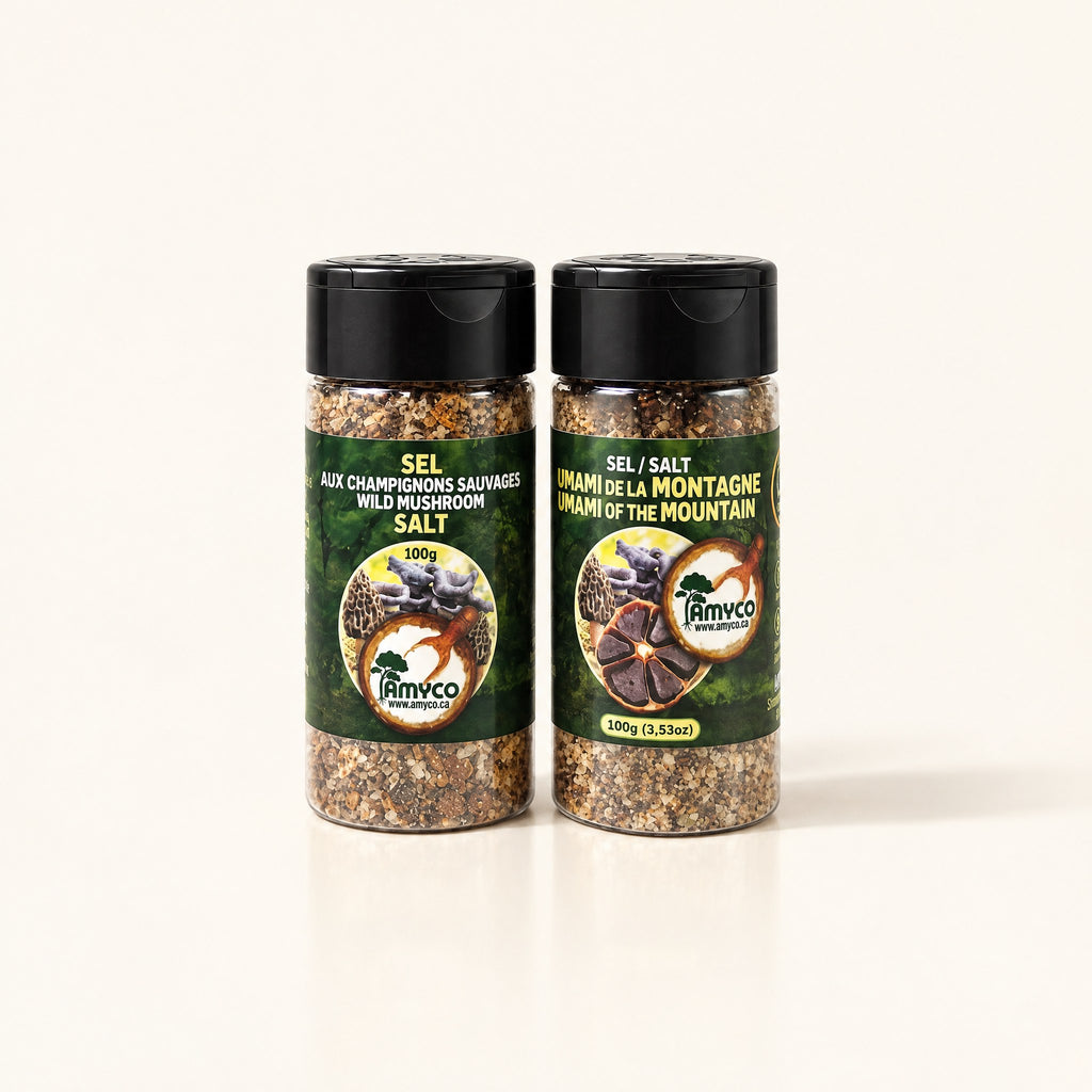 Deux pots du duo de sel aux champignons de marque Amyco présentés côte à côte sur un fond crème épuré