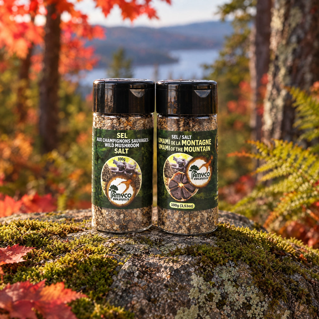 Le duo de sel aux champignons posé sur un rocher couvert de mousse, devant un paysage d'automne coloré et un lac