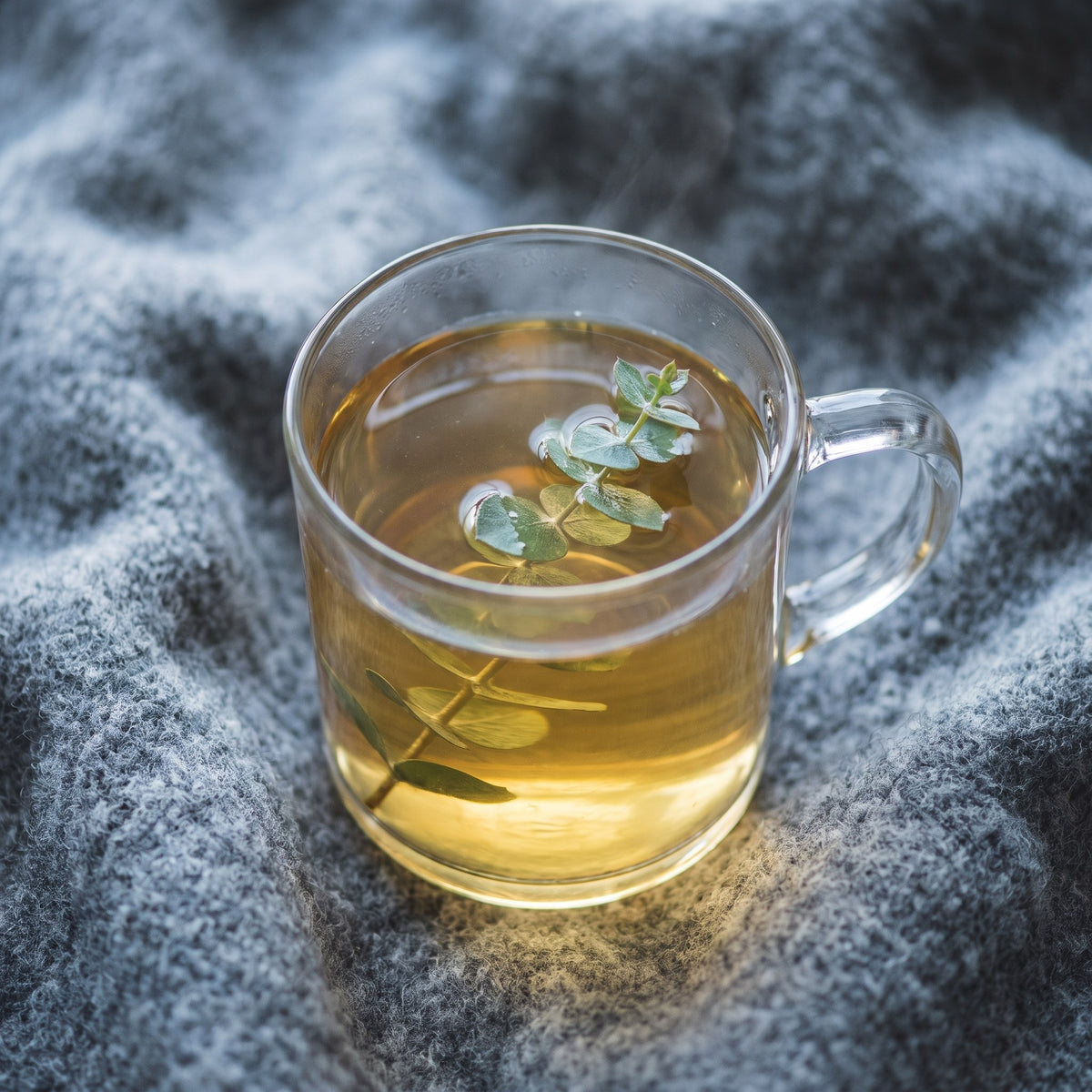 Une tasse de tisane au miel aromatisé à l'eucalyptus avec sa branche, déposée sur une doudou grise tricotée
