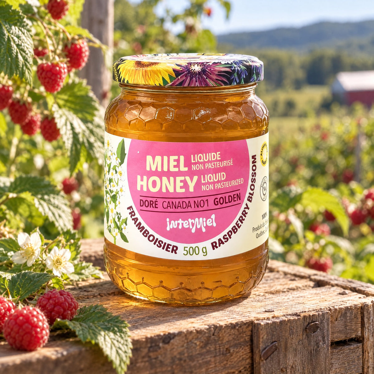 Pot de miel de framboisier Intermiel sur du bois rustique, entouré de framboises fraîches dans un champ ensoleillé