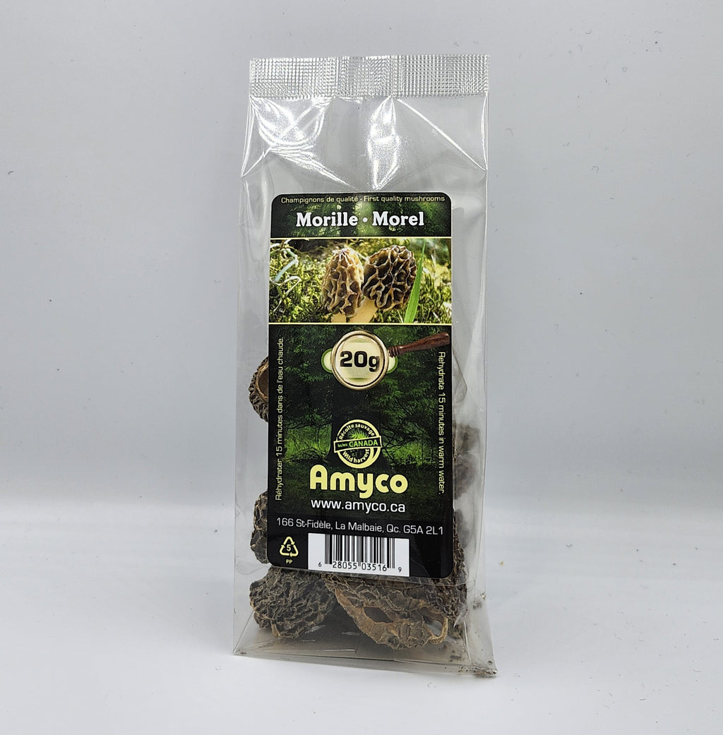 Champignons Morilles