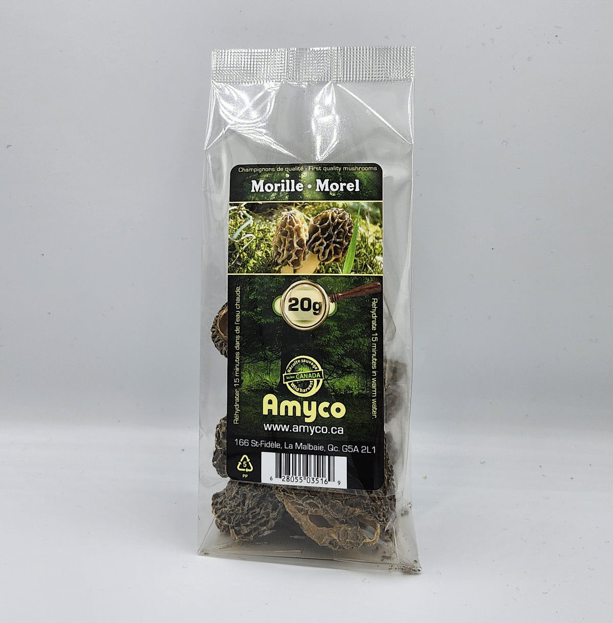 Champignons Morilles