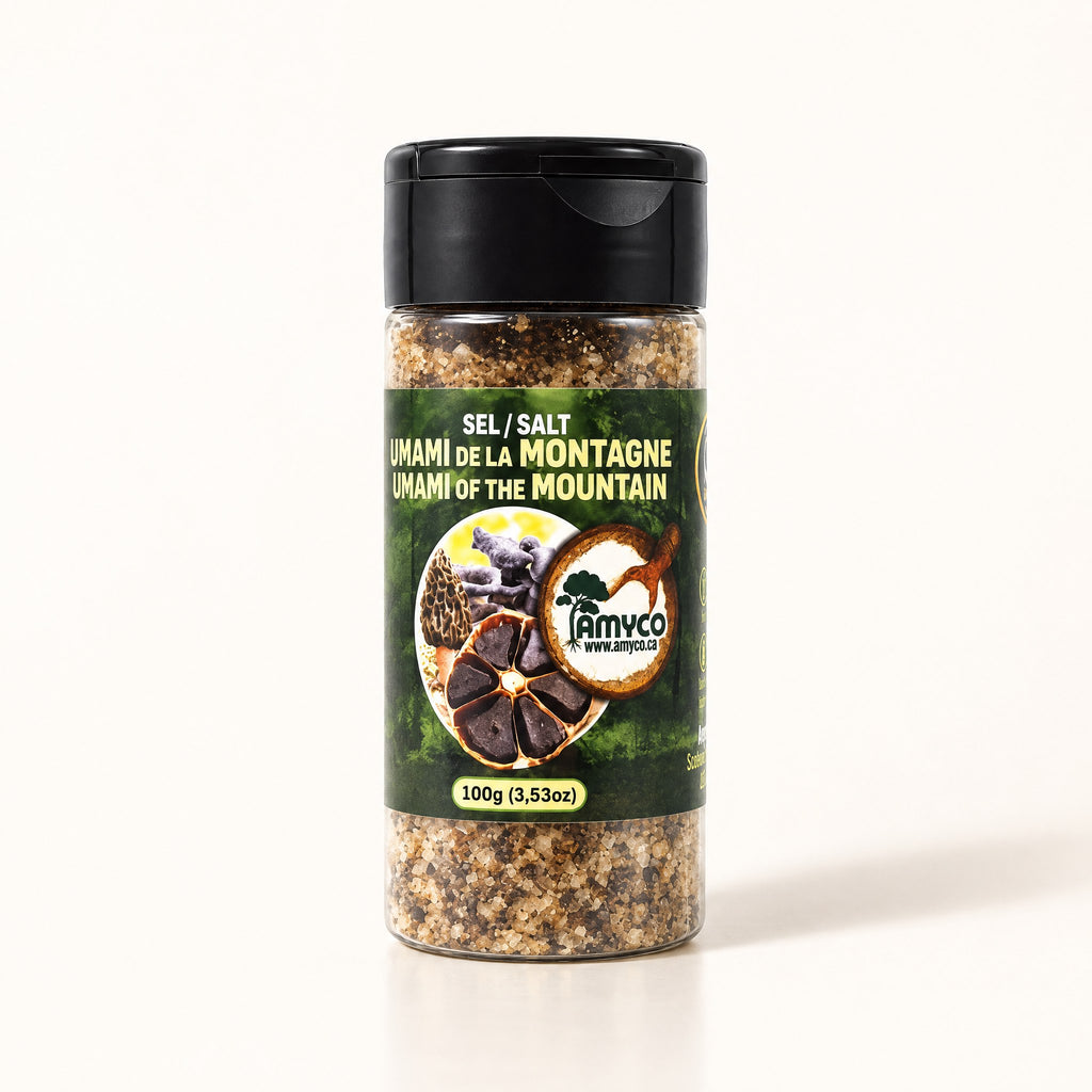 Pot de sel Umami de la Montagne d’Amyco, posé seul sur fond crème, avec bouchon noir et étiquette forestière