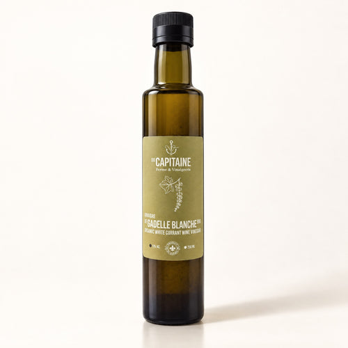 Bouteille en verre ambré de vinaigre de gadelle blanche bio, debout sur fond crème épuré