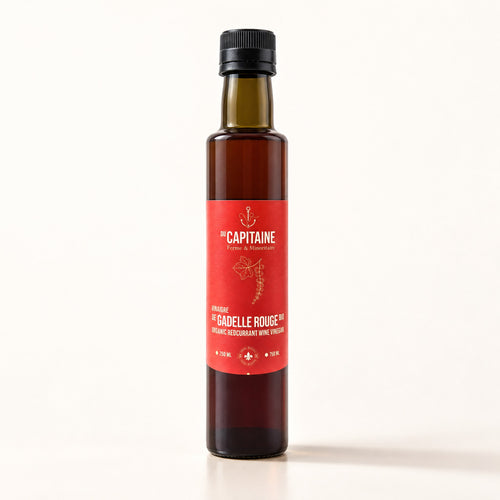 Bouteille de vinaigre de gadelle rouge Du Capitaine, dressée seule sur fond crème