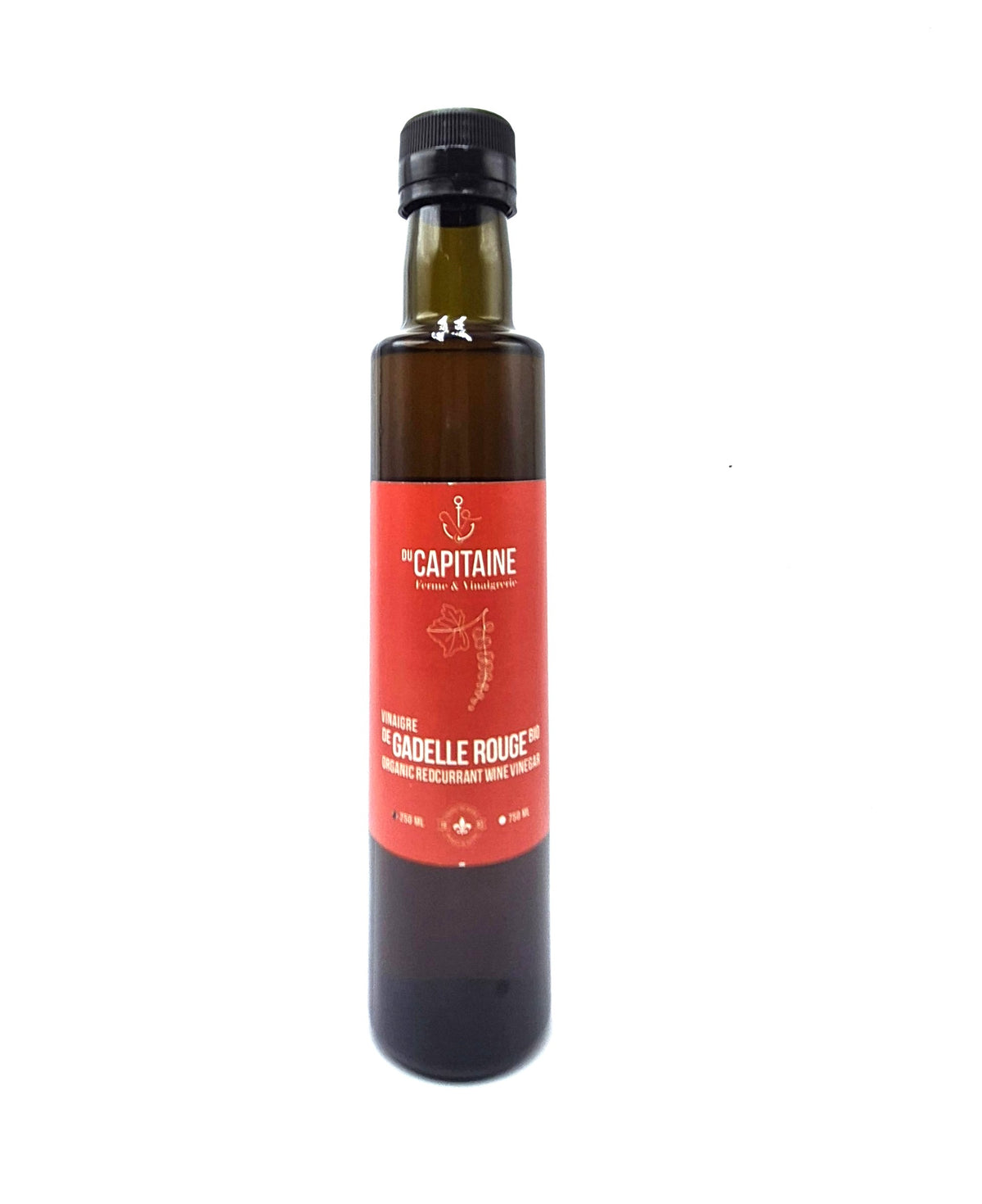 Vinaigre gadelle rouge